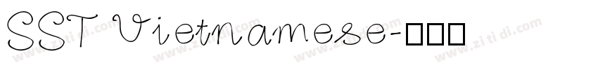 SST Vietnamese字体转换